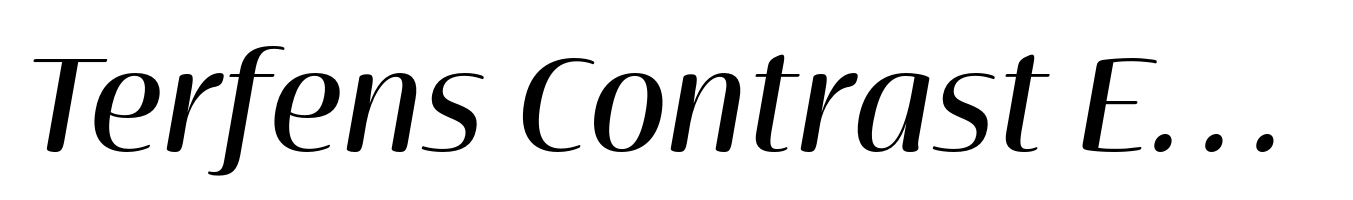 Terfens Contrast Extended Medium Italic